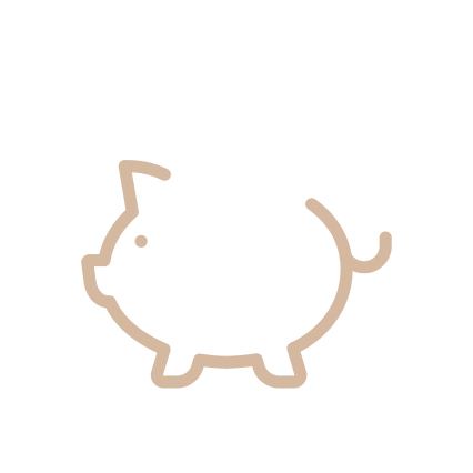 savings icon